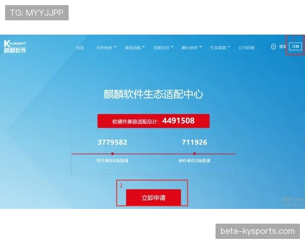 篮球挑战判罚规则的申请机制与执行流程解析